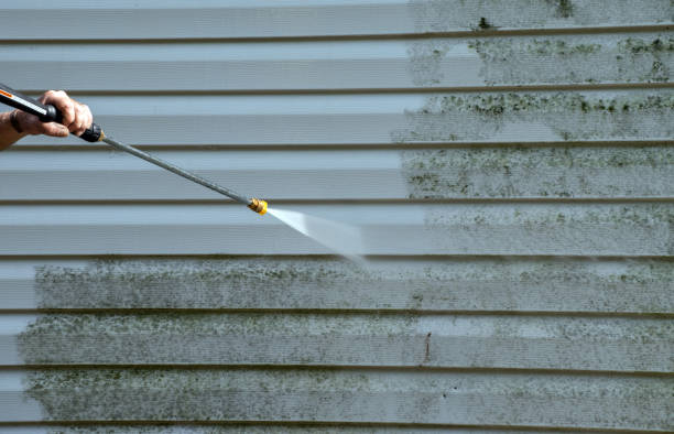 Professional Pressure Washing in Kirkland, IL